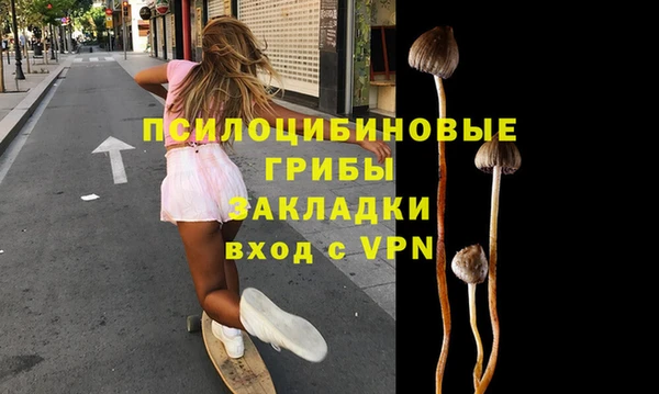 круглые Бородино